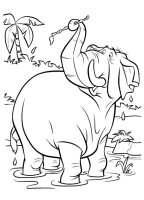 Animale din jungla