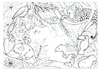 Animale din jungla