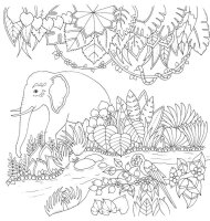 Animale din jungla