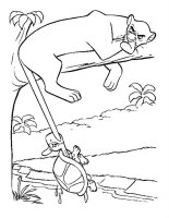 Animale din jungla