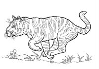 Animale din jungla