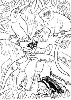 Animale din jungla