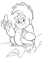 Animale din jungla