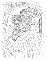Animale din jungla