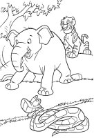 Animale din jungla