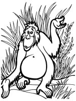 Animale din jungla