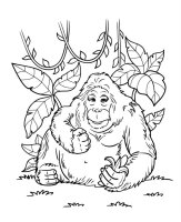 Animale din jungla