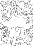 Animale din jungla