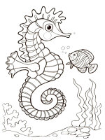 Animale marine