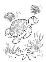 Animale marine