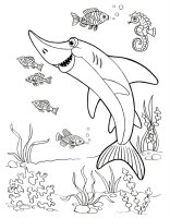 Animale marine