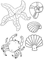 Animale marine
