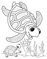 Animale marine