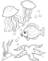 Animale marine