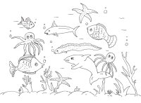 Animale marine