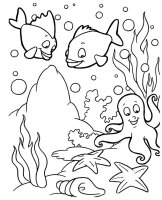 Animale marine