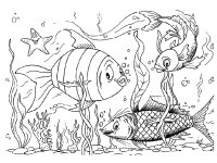 Animale marine