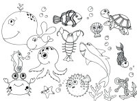 Animale marine