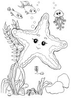 Animale marine