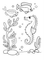 Animale marine