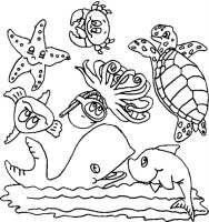 Animale marine