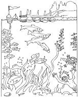 Apa in natura