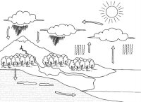 Apa in natura