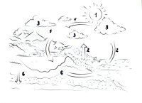Apa in natura