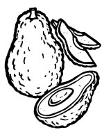 Avocado