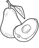 Avocado