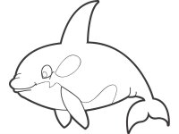 Balena Orca
