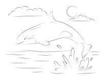 Balena Orca