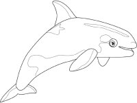 Balena Orca
