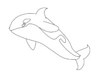 Balena Orca