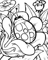 Buburuza