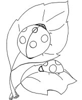 Buburuza