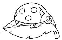 Buburuza