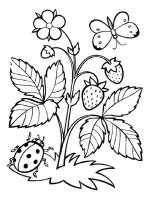 Buburuza