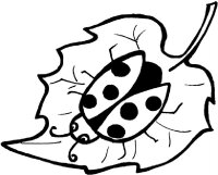 Buburuza
