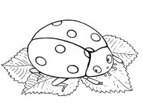 Buburuza