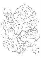 Bujor