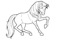 Cai
