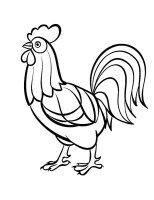 Cocosi