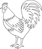 Cocosi