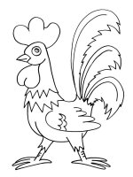 Cocosi