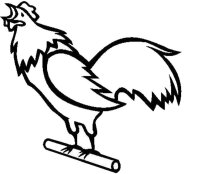 Cocosi