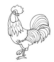 Cocosi