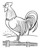 Cocosi