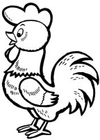 Cocosi