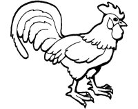 Cocosi
